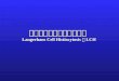 郎格罕细胞组织细胞增生症 Langerhans Cell Histiocytosis ， LCH