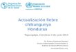 Actualización fiebre chikungunya Honduras