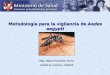 Metodología para la vigilancia de  Aedes aegypti