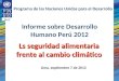 Informe sobre Desarrollo Humano Perú 2012