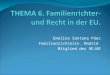 THEMA 6.  Familienrichter -  und Recht  in der EU