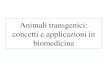 Animali transgenici: concetti e applicazioni in biomedicina