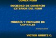 COMEX PERÚ SOCIEDAD DE COMERCIO EXTERIOR DEL PERÚ MINERÍA Y MERCADO DE CAPITALES