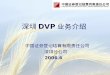 深圳 DVP 业务介绍