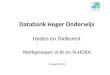 Databank Hoger Onderwijs Heden en Toekomst Werkgroepen VLIR en VLHORA 24 april 2013