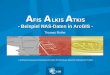 A FIS  A LKIS  A TKIS  - Beispiel NAS-Daten in ArcGIS -