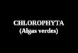 CHLOROPHYTA (Algas verdes)