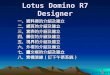 Lotus Domino R7 Designer