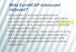 Mida EuroNCAP tulemused näitavad?