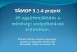 TÁMOP 3.1.4 projekt  4S együttműködés a minőségi szolgáltatások érdekében