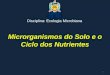 Microrganismos do Solo e o Ciclo dos Nutrientes
