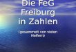 Die FeG Freiburg in Zahlen