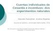Cuentas individuales de Cesantía e incentivos: dos experimentos naturales