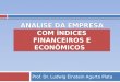 Analise da empresa com índices financeiros e econômicos