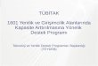 Teknoloji ve Yenilik Destek Programları  Başkanlığı ( TEYDEB )
