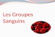 Les Groupes Sanguins