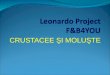 Leonardo Project F&B4YOU