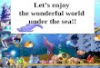 Let’s enjoy  the wonderful world  under the sea!!