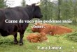 Carne de vaca não podemos mais comer: