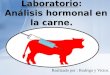 Práctica de Laboratorio : Análisis  hormonal en la carne