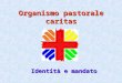 Organismo pastorale  caritas