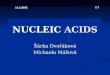 NUCLEIC  ACIDS