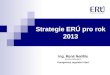 Strategie ERÚ pro  rok  2013