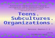 Teens.  Subcultures. Organizations