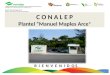 C O N A L E P Plantel “Manuel Maples Arce ”