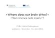 » Where does our brain drive ?«  (“Kam smerujú naše mozgy?“)