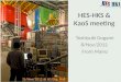 HES-HKS &  KaoS  meeting