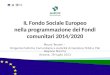 IL Fondo Sociale Europeo nell a  programmazione dei Fondi comunitari 2014/2020