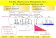UV-Vis, Fluorescence, Phosphorescence,  FTIR, and Raman Spectroscopy
