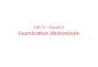 UIC II –  Cours  2 Examination  Abdominale