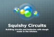 Squishy Circuits