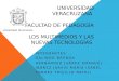 Universidad Veracruzana  Facultad de pedagogía los multimedios y las nuevas tecnologías