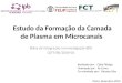 Estudo da Formação da Camada de Plasma em Microcanais