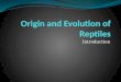 Origin and Evolution of Reptiles