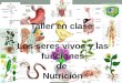 Taller en clase  Los seres vivos y las funciones d e  Nutrición