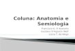 Coluna: Anatomia e Semiologia