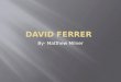 David  Ferrer