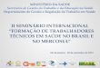 II Seminário Internacional “Formação de Trabalhadores Técnicos em Saúde no Brasil e no MERCOSUL ”