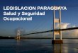 LEGISLACION PARAGUAYA Salud y Seguridad Ocupacional