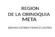 REGION  DE LA ORINOQUIA
