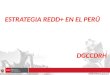 ESTRATEGIA REDD+ EN EL PERÚ