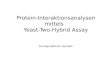Protein-Interaktionsanalysen mittels   Yeast - Two -Hybrid Assay Grundpraktikum Genetik