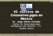 El cultivo de  Crassostrea  gigas  en México