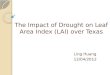 The Impact of Drought on Leaf Area Index (LAI) over Texas