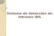 Sistema de detección de intrusos IDS