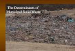 The Determinants of  Municipal Solid Waste